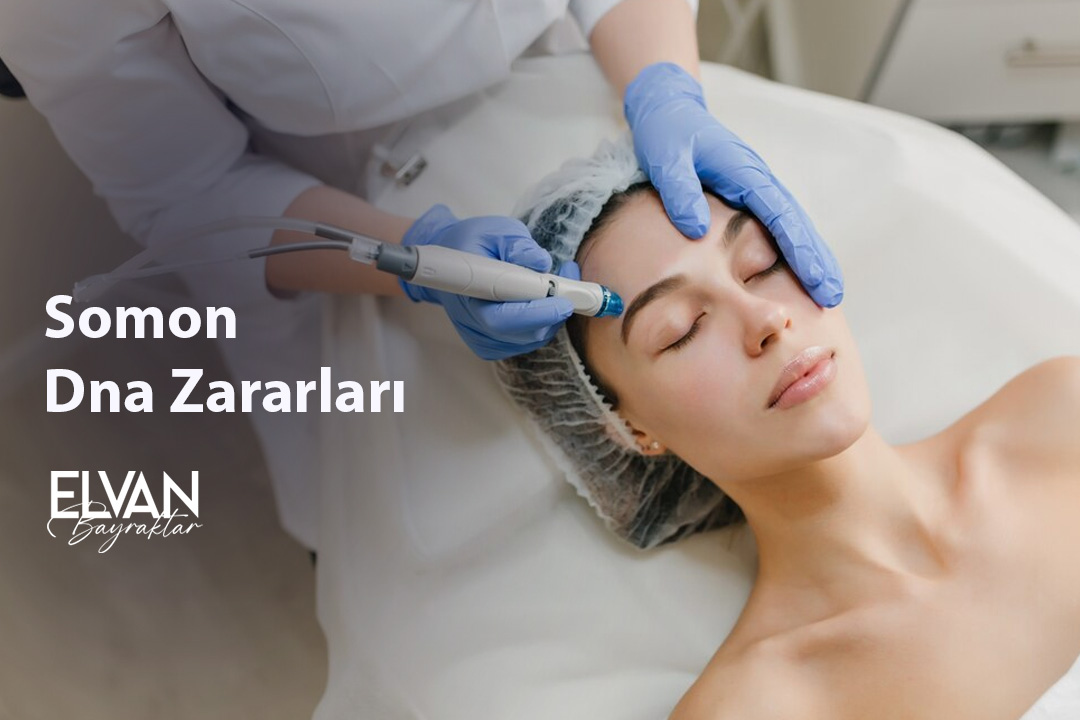 Somon Dna Zararları